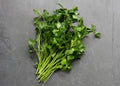 Flat Leaf Parsley
