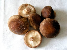 Shiitake Mushrooms