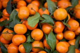 Ojai Pixie Tangerines