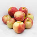 Jonagold Apples