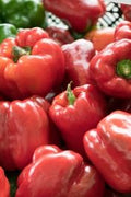 Red Bell Pepper