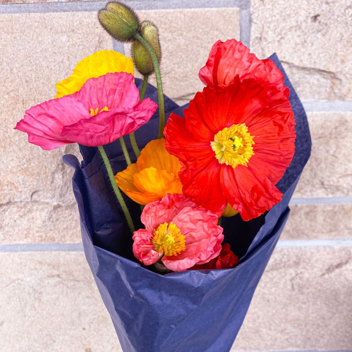 Icelandic Poppy Bouquets
