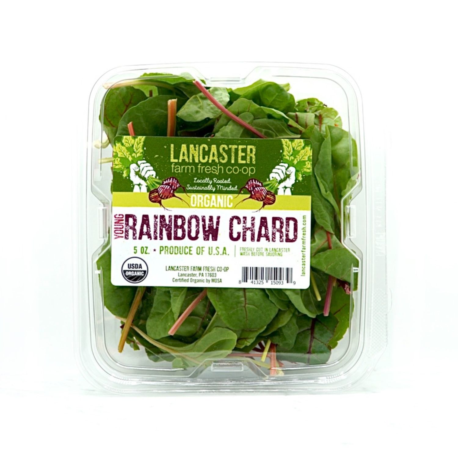 Young Rainbow Chard