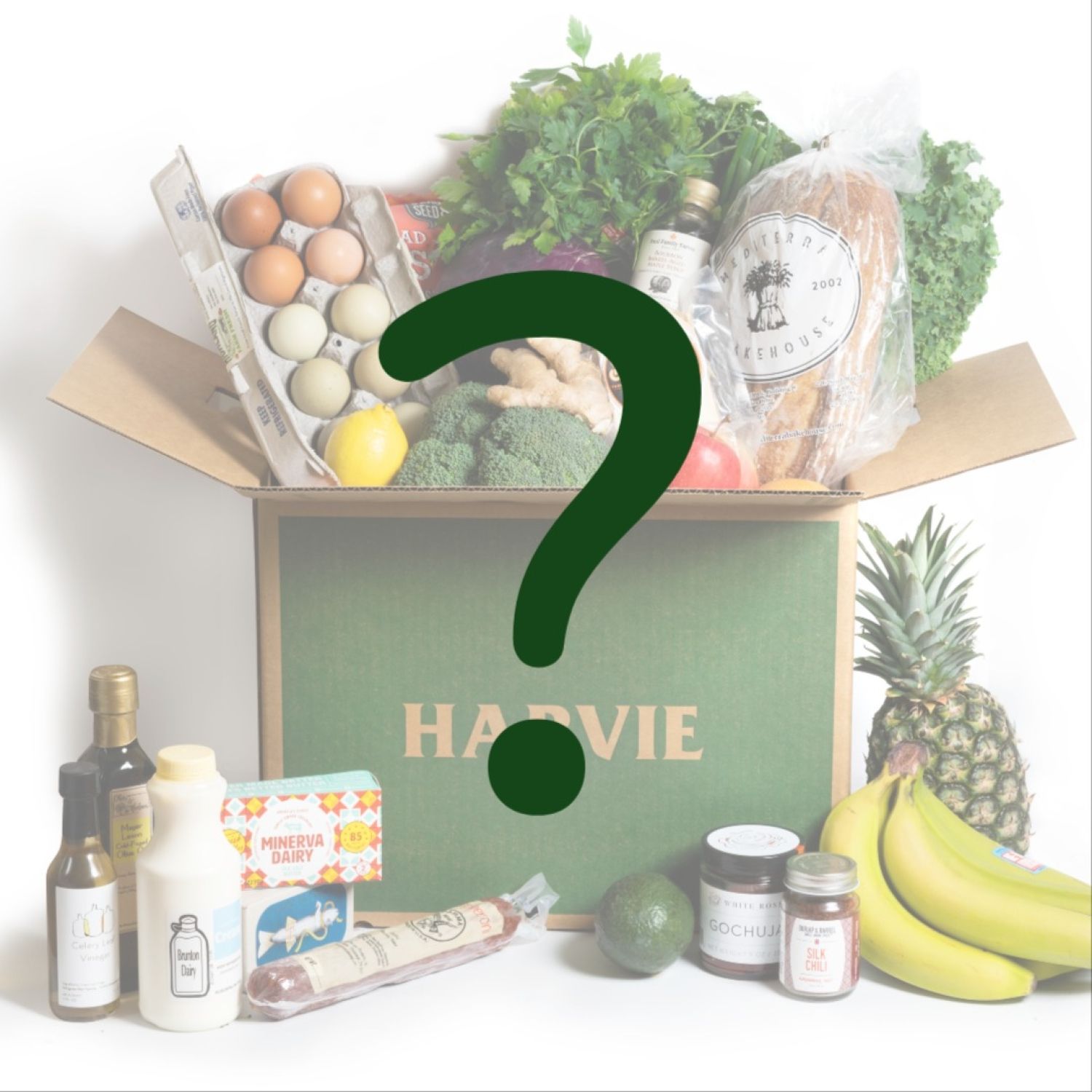 Harvie Mystery Box