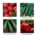 Summer Garden Seedlings