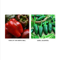 Sweet & Spicy Pepper Seedling Duo