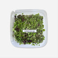 Superfood Blend Microgreens