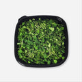 Arugula Microgreens