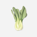 Bok Choy