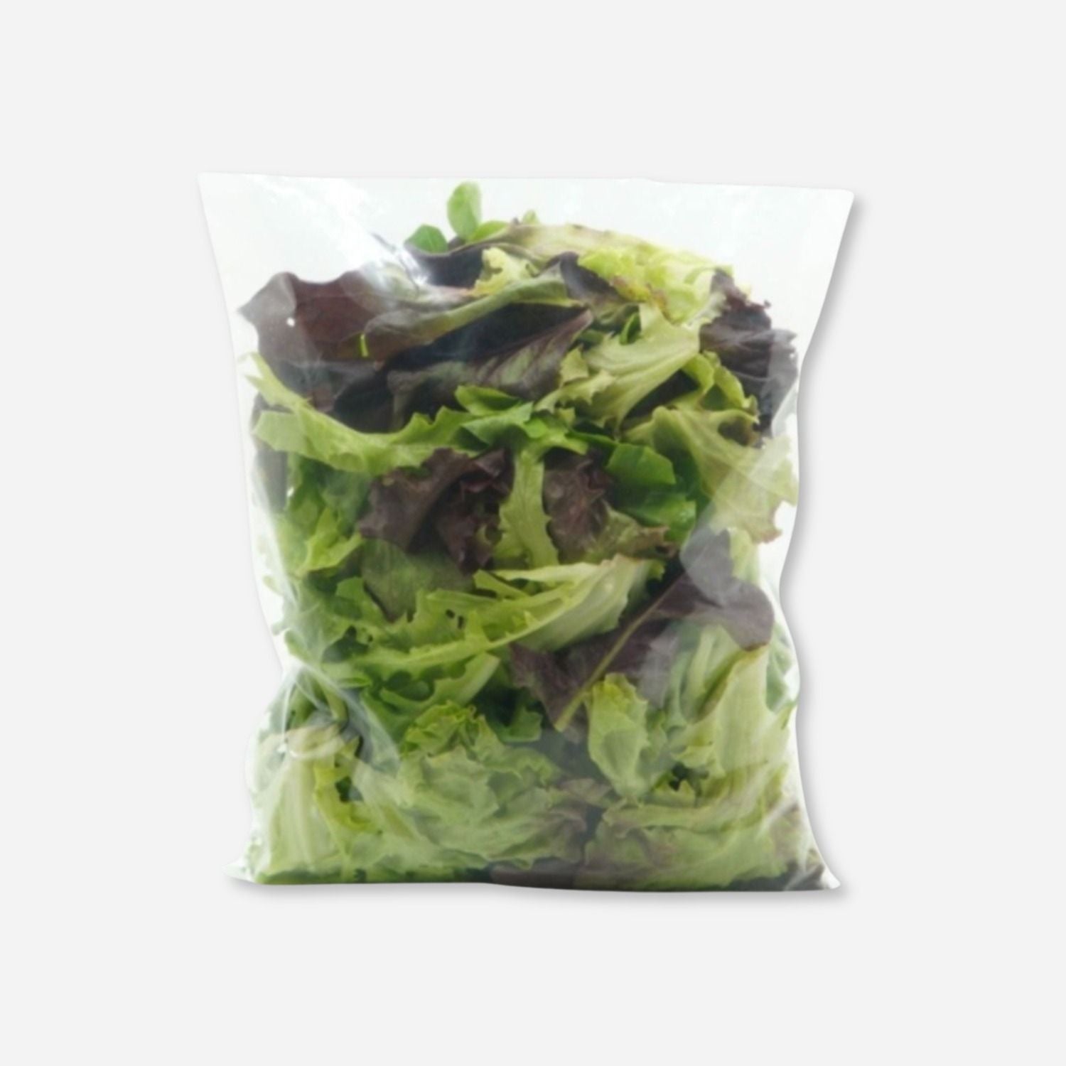 Bulk Lettuce Salad Mix 10 oz