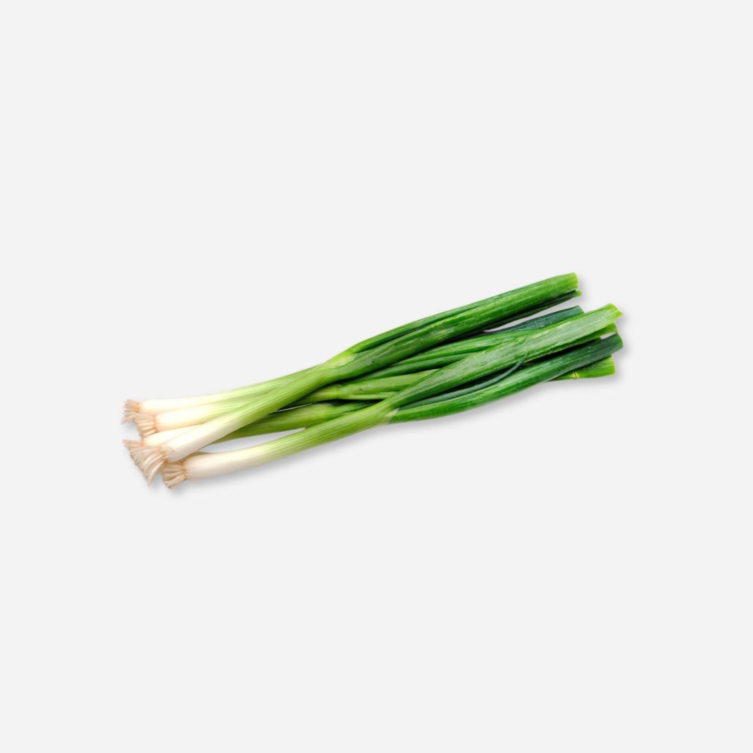 Scallion Green Onions
