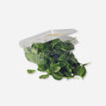 Baby Spinach