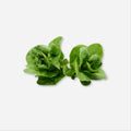 Organic Little Gem Lettuce
