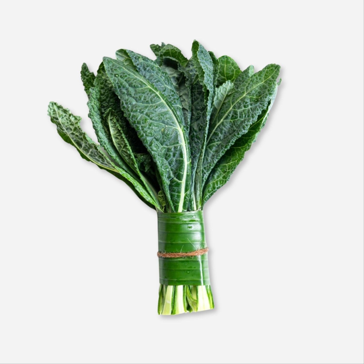 Lacinato Kale