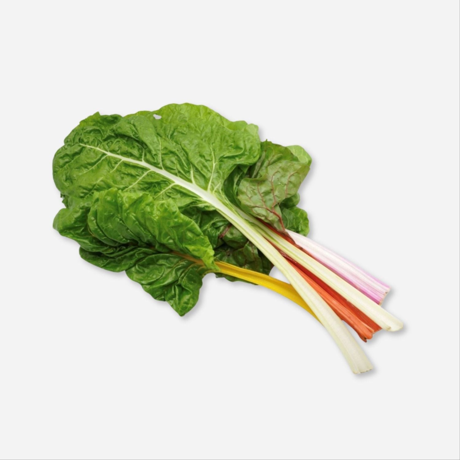 Rainbow Chard