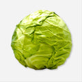 Green Cabbage
