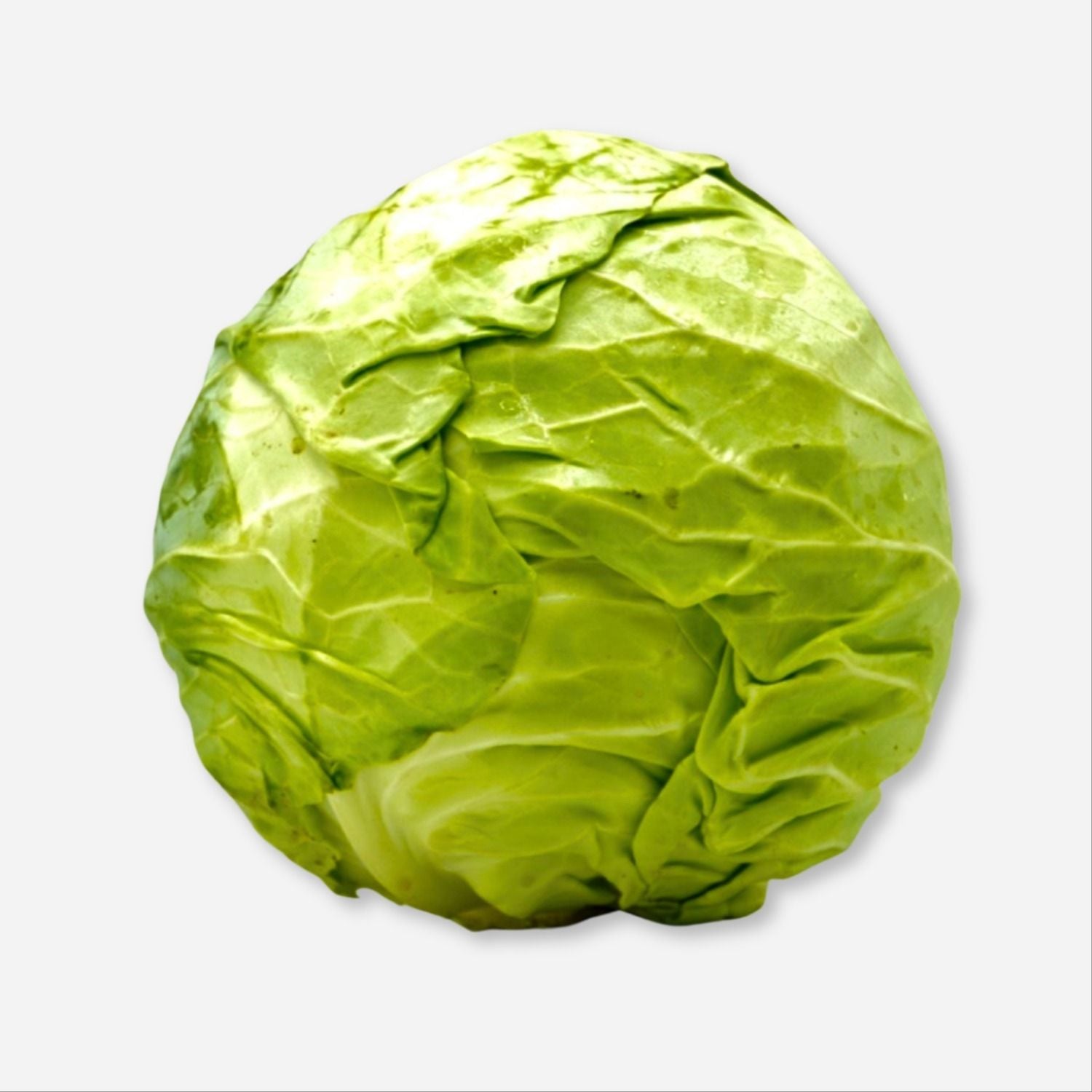 Green Cabbage