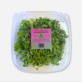Microgreens Salad Mix