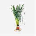 Green Garlic
