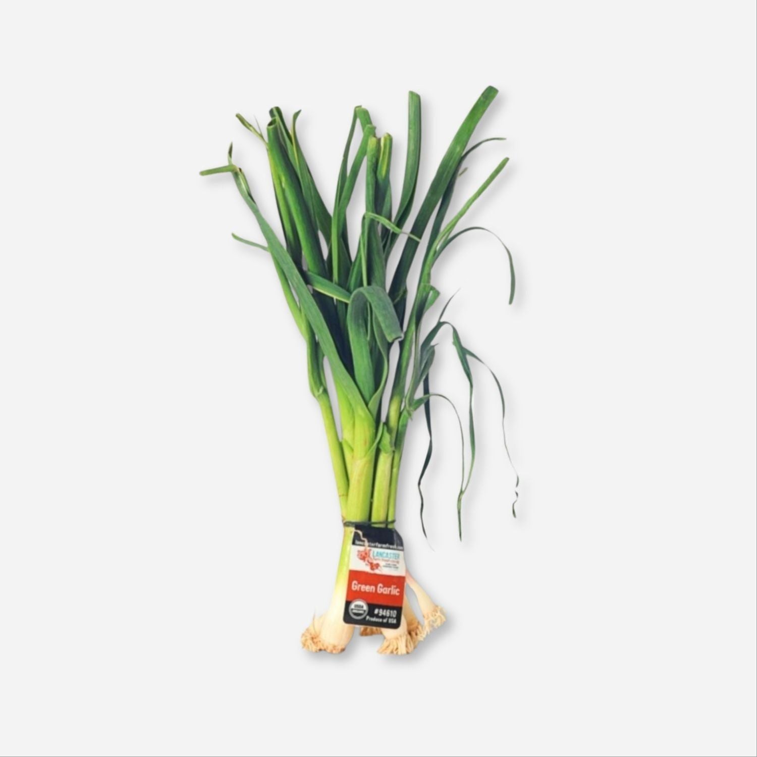 Green Garlic