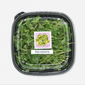 Pea Shoots