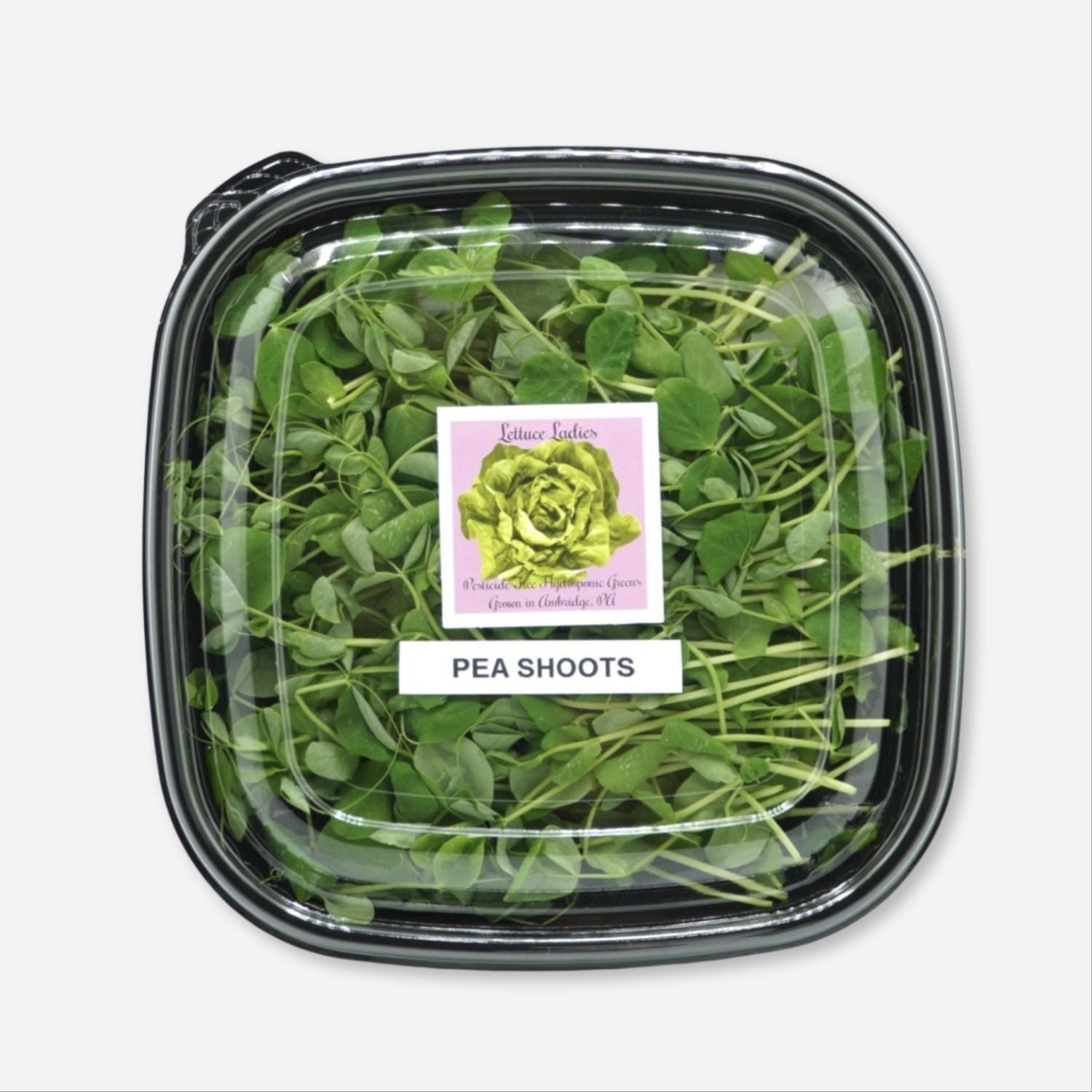 Pea Shoots