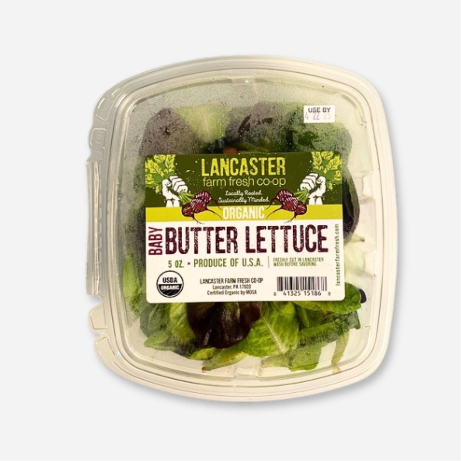 Baby Butter Lettuce