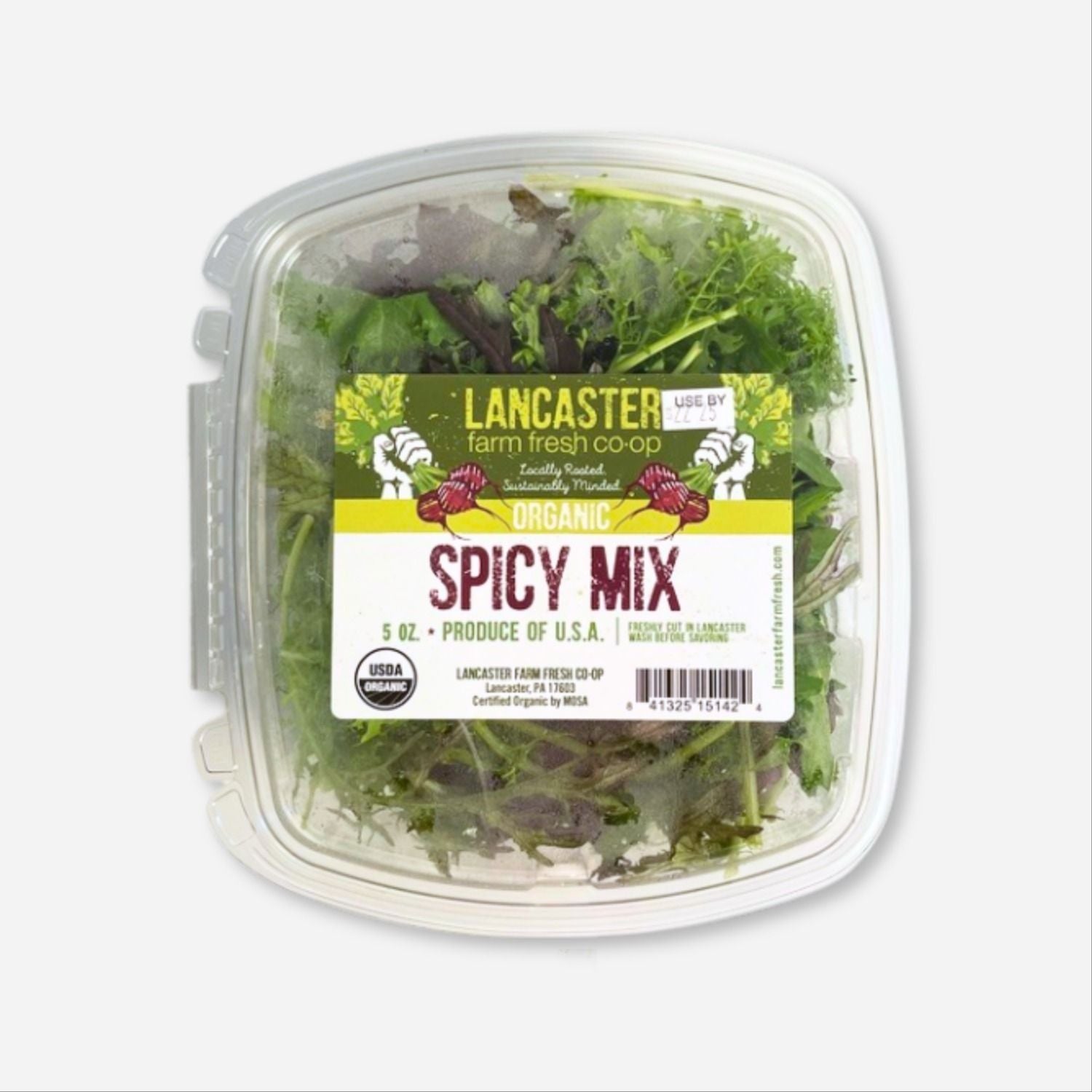 Spicy Salad Greens Mix