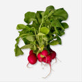 Red Radishes