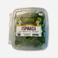 Young Spinach