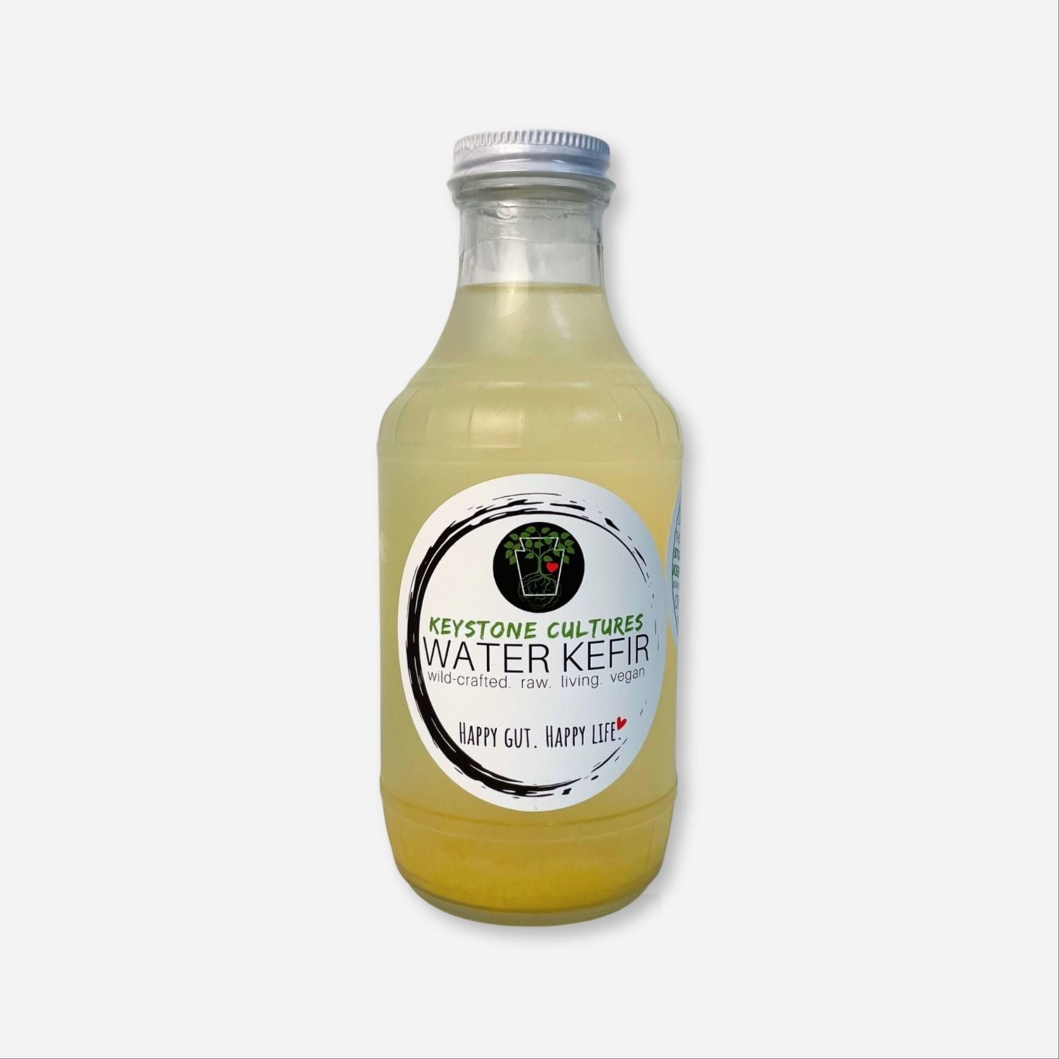 Tropical Coconut Water Kefir