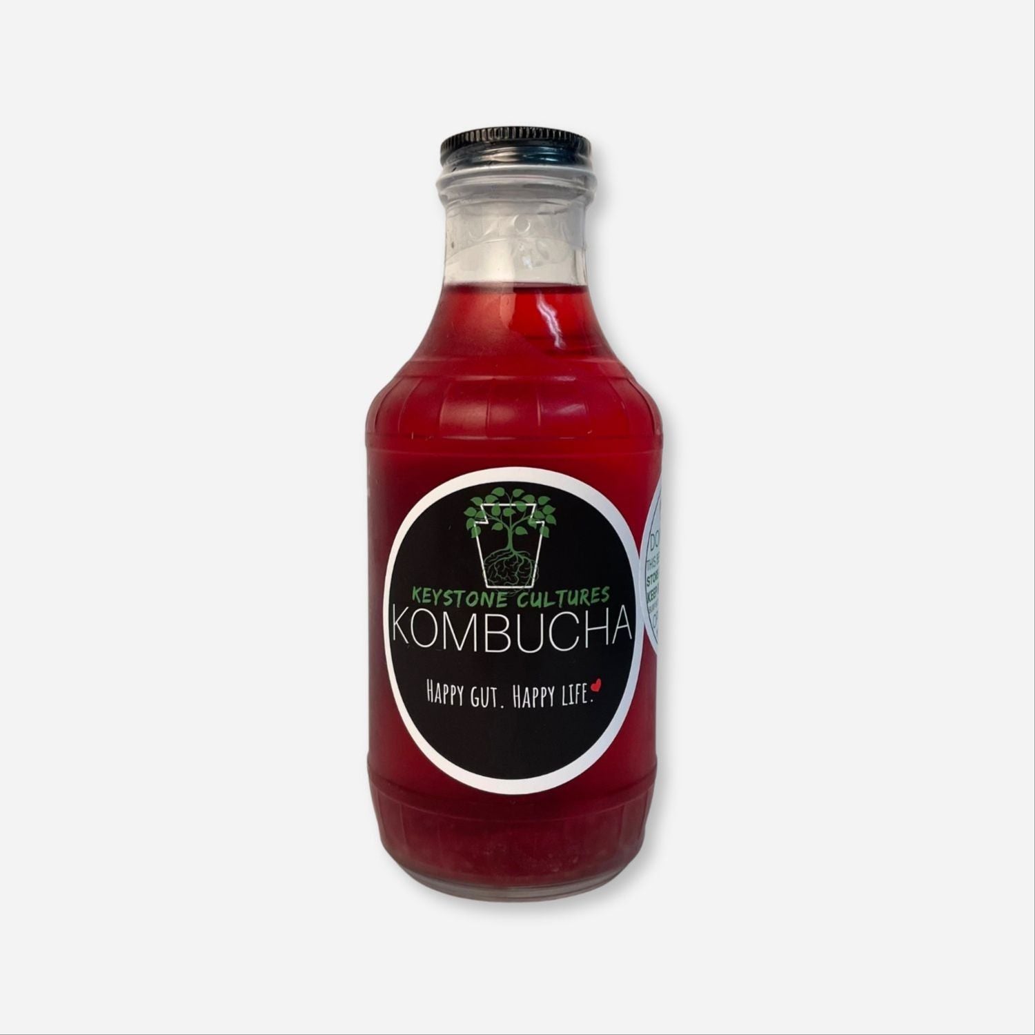 Blackberry Kombucha