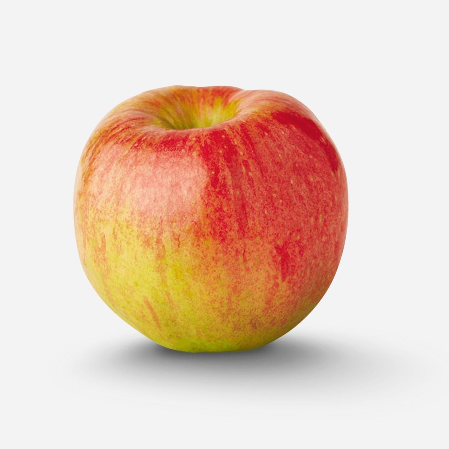 Snapdragon Apples