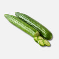 English Cucumbers