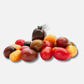 Tomatoes Medley