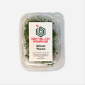 Winter Thyme