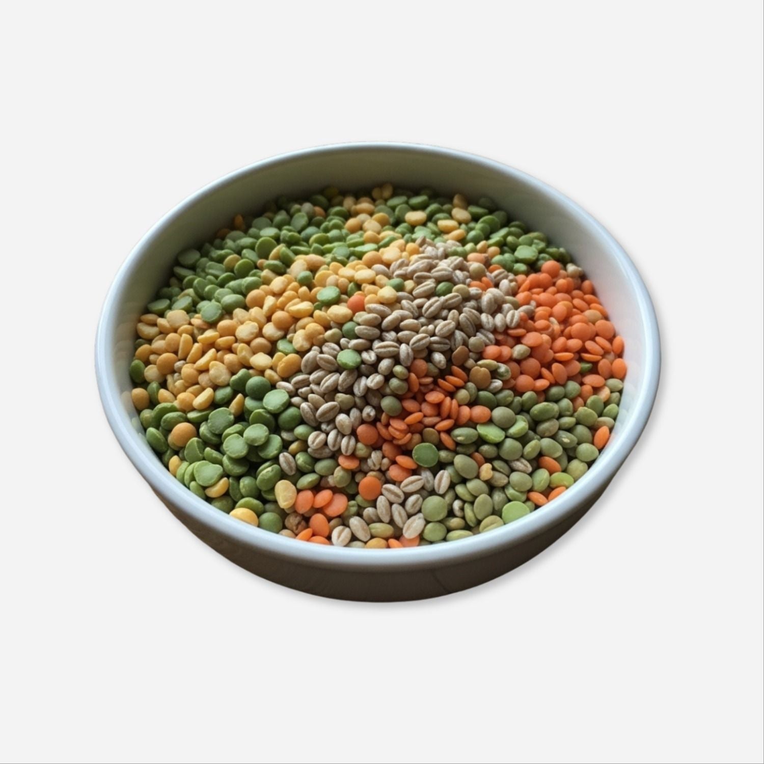 Busy Day Bean Soup Mix