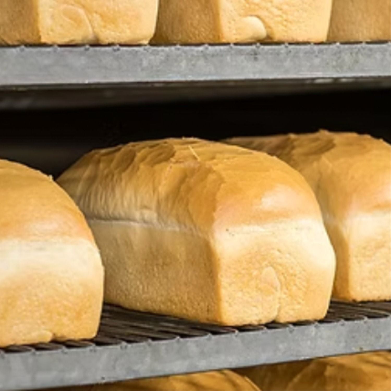 Homemade Loaf - Sliced