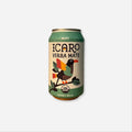 Yerba Mate Mint