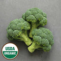 Organic Broccoli