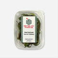 Red Veined Sorrel (Baby)