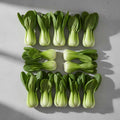 Baby Bok Choy