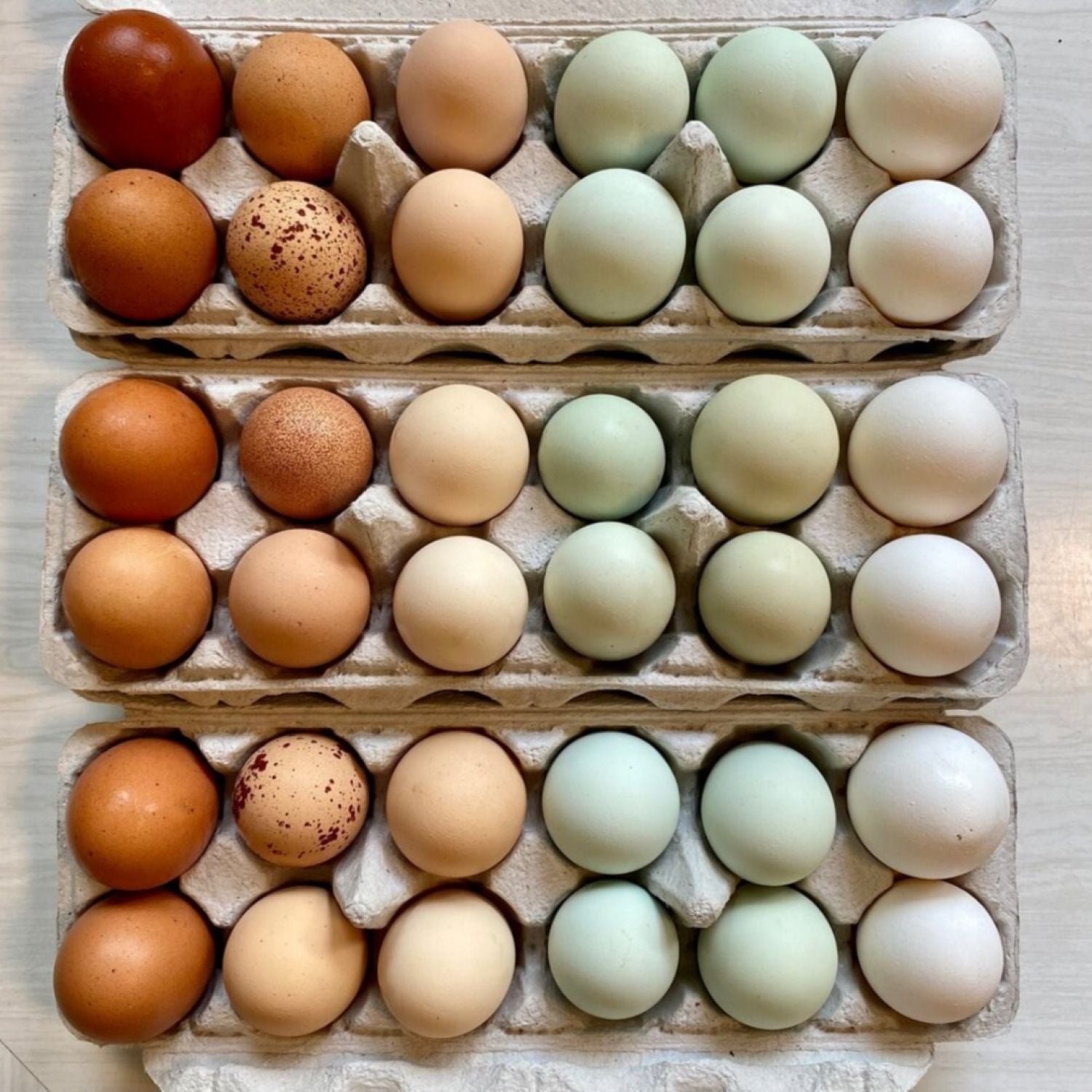 Pasture-raised Amish Rainbow Eggs