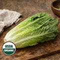 Organic Romaine Lettuce Head