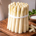 White Asparagus