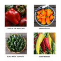 Pepper Lover Seedlings