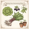 Spring Gets Interesting Share