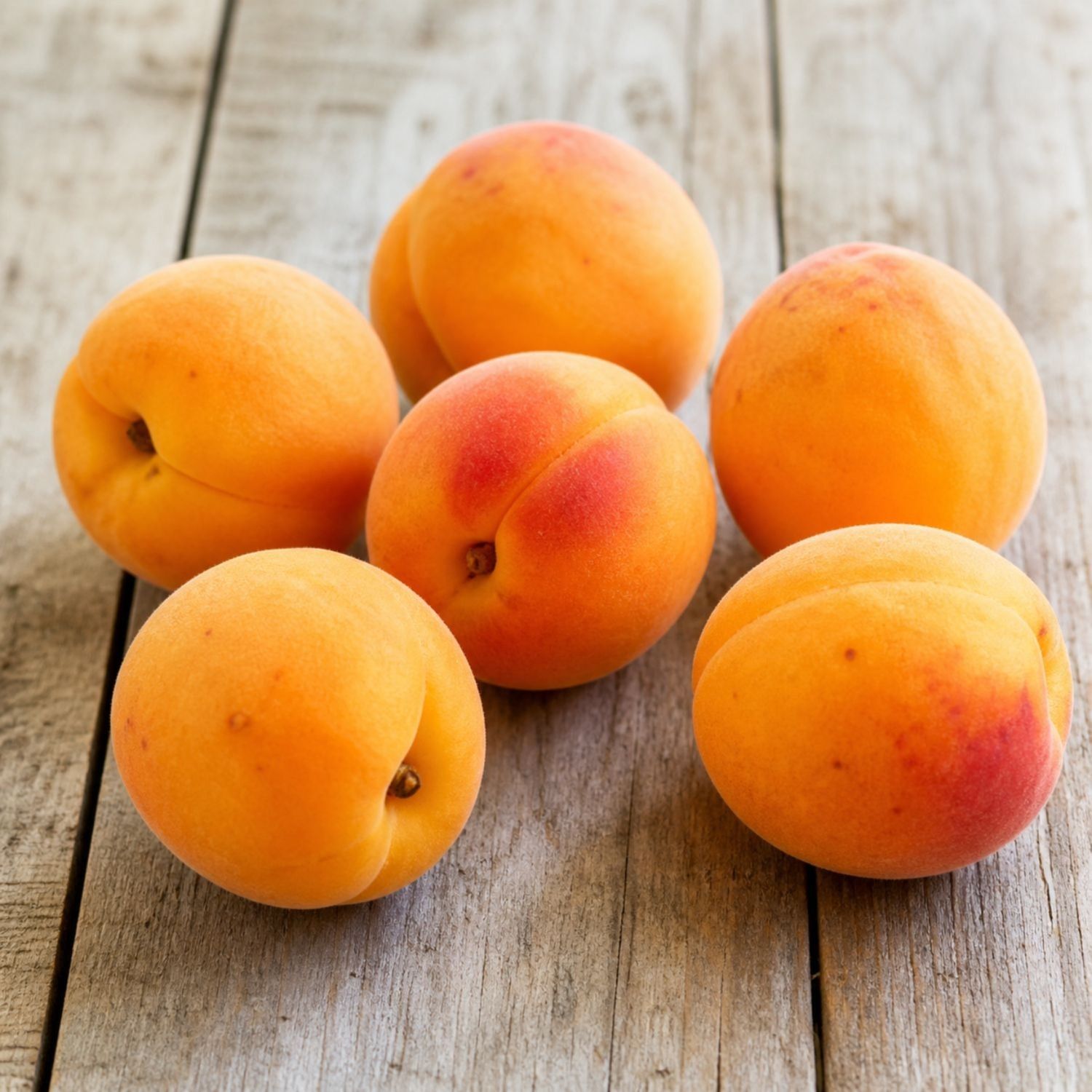 Fresh Apricots