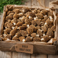 Bulk Wild Foraged Morels - Half Case