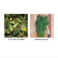 Pickling Combo Seedling Duo